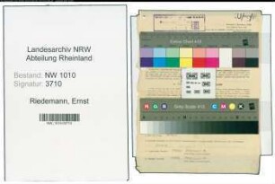 Entnazifizierung Ernst Riedemann , geb. 15.06.1904 (Ingenieur)