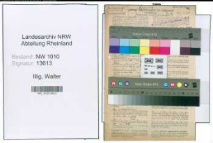 Entnazifizierung Walter Illig , geb. 30.12.1879 (Amtsgerichtsrat)