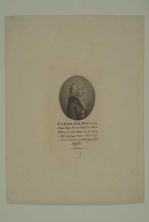 Peter Simon Pallas