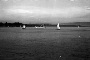 Mainau, Insel Mainau: Weiter Seeblick, mit Booten