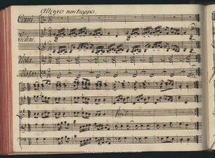 Allegro non troppo
