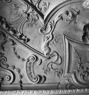 Stuckdecke mit Tritonen-Kindern : Neustadt-Glewe, Neues Schloss. Stuckdecke mit Tritonen-Kindern