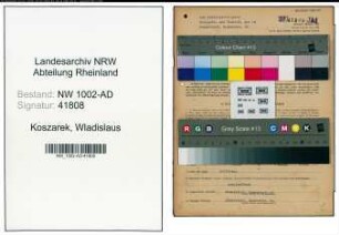 Entnazifizierung Wladislaus Koszarek, geb. 12.04.1900 (Arbeiter)