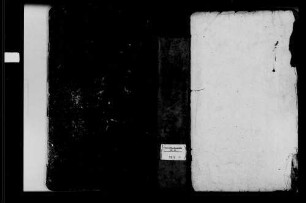 Dallau, evangelische Gemeinde: Geburtenbuch 1809-1867