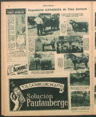 Exposición ganadera de Tres Arroyos [Fotografías]