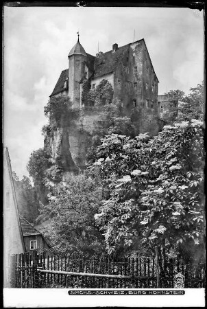 Blick auf Burg Hohnstein