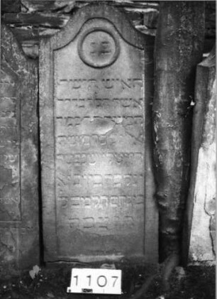 Grabstein 1107 (Index: 99630610) Material: Sandstein Zustand: abgeblättert mit wenig Textverlust Maße HxBxT: 127x56x11 cm Beschreibung: Stele mit Konvexbogenabschluß, Schriftfel deingetieft: Grabstein 1107
