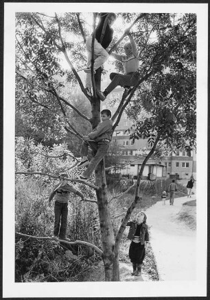 Kindern beim Klettern in einem Baum