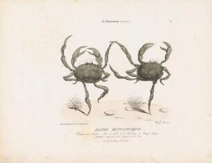 Danse fantastique