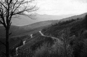Trois Épis: Serpentinenstraße und Blick ins Münstertal, von den Drei Ähren aus