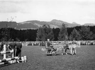 Reitturnierplatz. Ansicht mit Einspänner