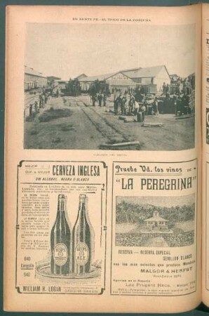 En Santa Fe - El trigo de la cosecha - [Fotografía] : Cargando los trenes