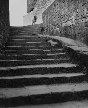 Archivfotografie "motive_tiere_haus_hunde_19926"