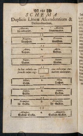 186, Schema Duplicis Lineae Ascendentium [...]
