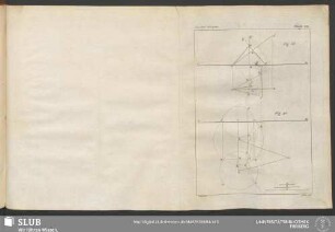 Planche XIX