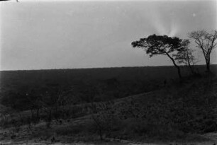 Ebene in Sambia (Nordrhodesien-Aufenthalt 1930-1933 - Area 24)