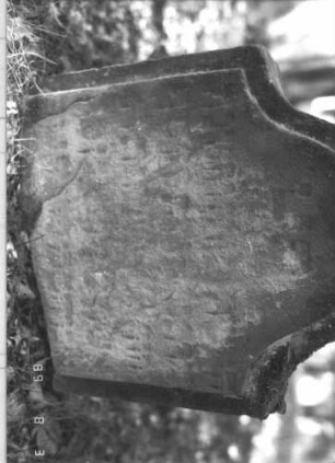 Grabstein 282 (Index: 99609919) Material: Sandstein Zustand: Stele zerbrochen, nur Oberteil erhalten, stark verwittert, weitgehender Textverlust Maße HxBxT: 49x44x11 cm Beschreibung: oberes Bruchstück einer Stele, Konvexbogenabschluß, Schriftfeld erhaben: Grabstein 282A