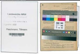 Entnazifizierung Tillmann Peschmann , geb. 19.07.1895 (Werkmeister)