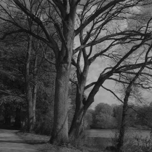 Putbus. Schloßpark