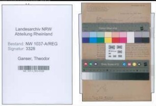 Entnazifizierung Theodor Ganser , geb. 09.03.1880 ()