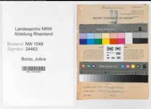 Entnazifizierung Julius Borzo , geb. 06.06.1905 (Vertreter)