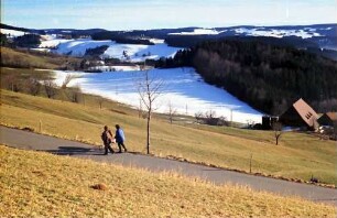 St. Peter: Halde; Vordergrund gelbe Wiese; Hintergrund Schnee; Richtung St. Märgen