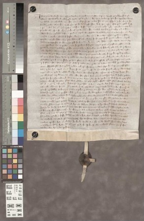 Dromersheim: Vidimus der Mainzer Richter über die Urkunden von 1239
