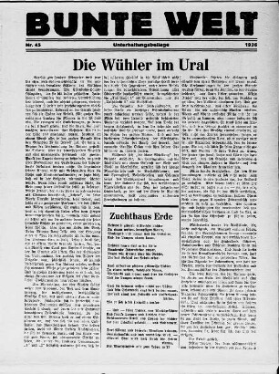 Bunte Welt