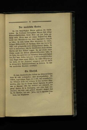 Ein Überfall