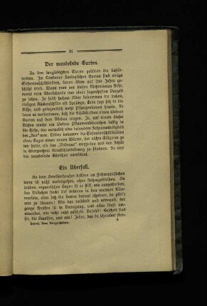 Ein Überfall