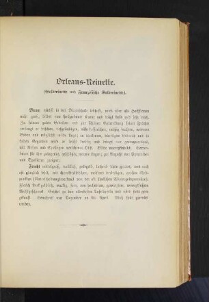 Orleans-Reinette. (Goldreinette und Französische Goldreinette).