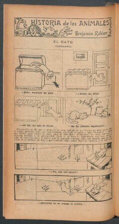 El gato - (Continuación) : Historia de los animales