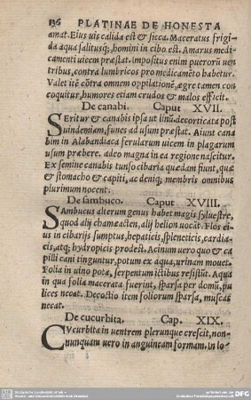 De cucurbita. Cap. XIX.