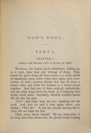 God's fool : a Koopstad story, 1