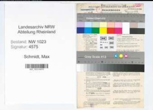 Entnazifizierung Max Schmidt , geb. 04.09.1901 (Steuerberater)