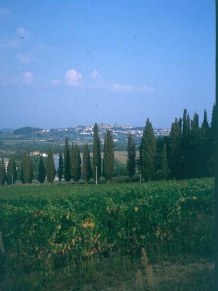 Italien. Toskana. Blick von einem Berg gen Terriccola