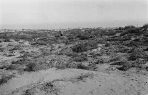 Trockenfelder östlich von Tripolis : Blick über eine ebene Landschaft