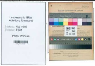 Entnazifizierung Wilhelm Pflips , geb. 22.02.1909 (Kaufmann)
