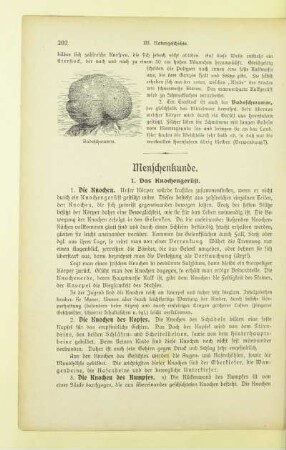 Menschenkunde