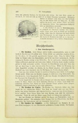 Menschenkunde