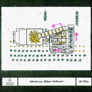 Schema zur "Rüben-Vollernte"