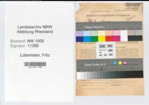 Entnazifizierung Fritz Lobenstein, geb. 02.03.1905 (Oberzollinspektor)