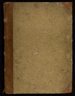Evangeliarium cum Capitulare Evangeliorum : Ms. Diez. C fol. 58