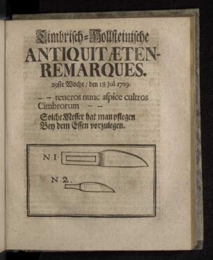 Cimbrisch-Hollsteinische Antiquitæten-Remarques. 29ste Woche/ den 18 Jul. 1719.