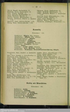 Kiebitz mit Pfarrsteina