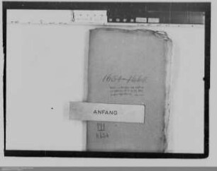 . Bestallungen und Instruktionen von Amtleuten und Dienern in Nassau-Dillenburg: Personalverwaltung des Grafen Ludwig Heinrich von Nassau-Dillenburg