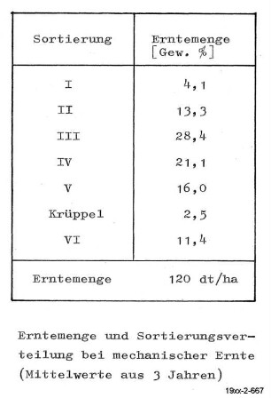 Erntemenge u. Sortierungsverteilung b. mechanischer Ernte
