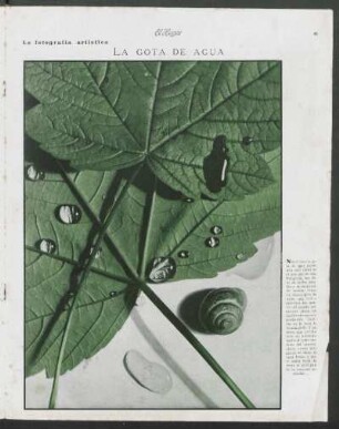 La gota de agua