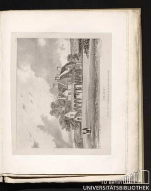 Pl. 46. Design, No. 7.