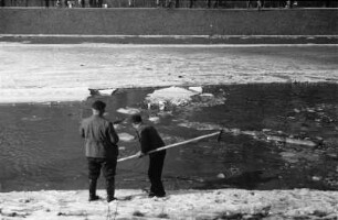 Zugefrorener Elsterflusslauf : Zwei Männer mit einer Stange beim Abfischen von durch Eissprengungen getöteten Fischen am zugefrorenen Elsterflusslauf